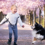 Lachender Junge rennt mit Sheltie