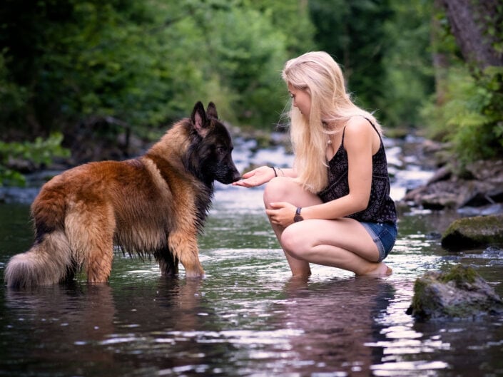 Hund und Mensch